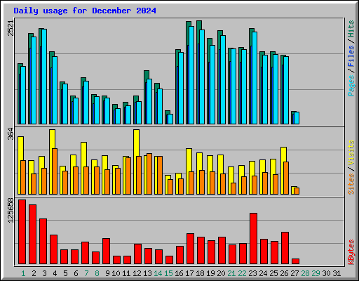 Daily usage for December 2024