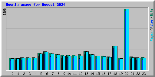 Hourly usage for August 2024