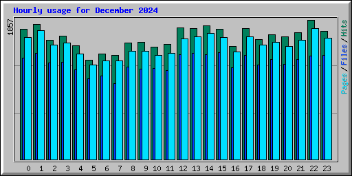 Hourly usage for December 2024